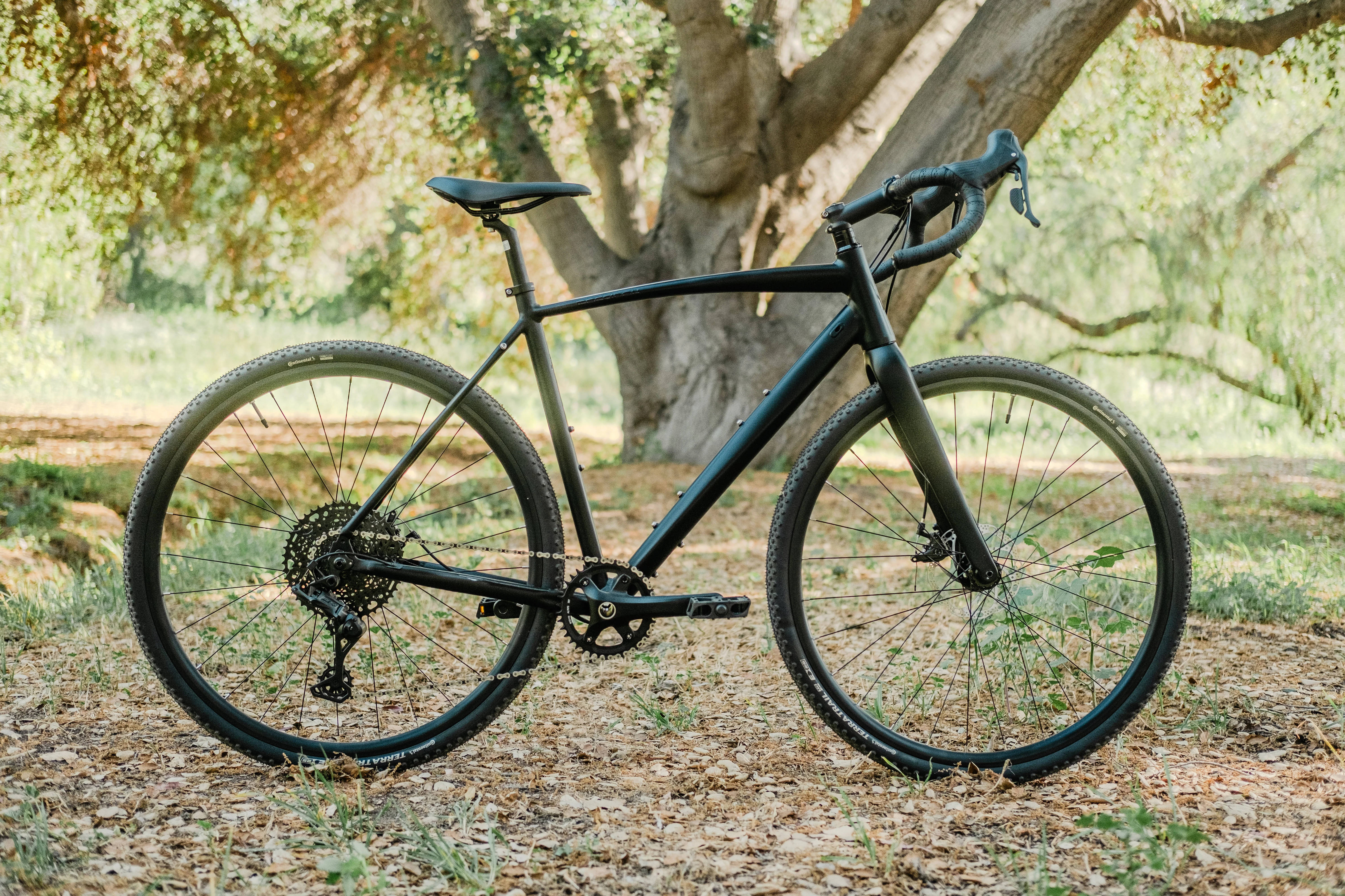 X Gen 3 - Image 16