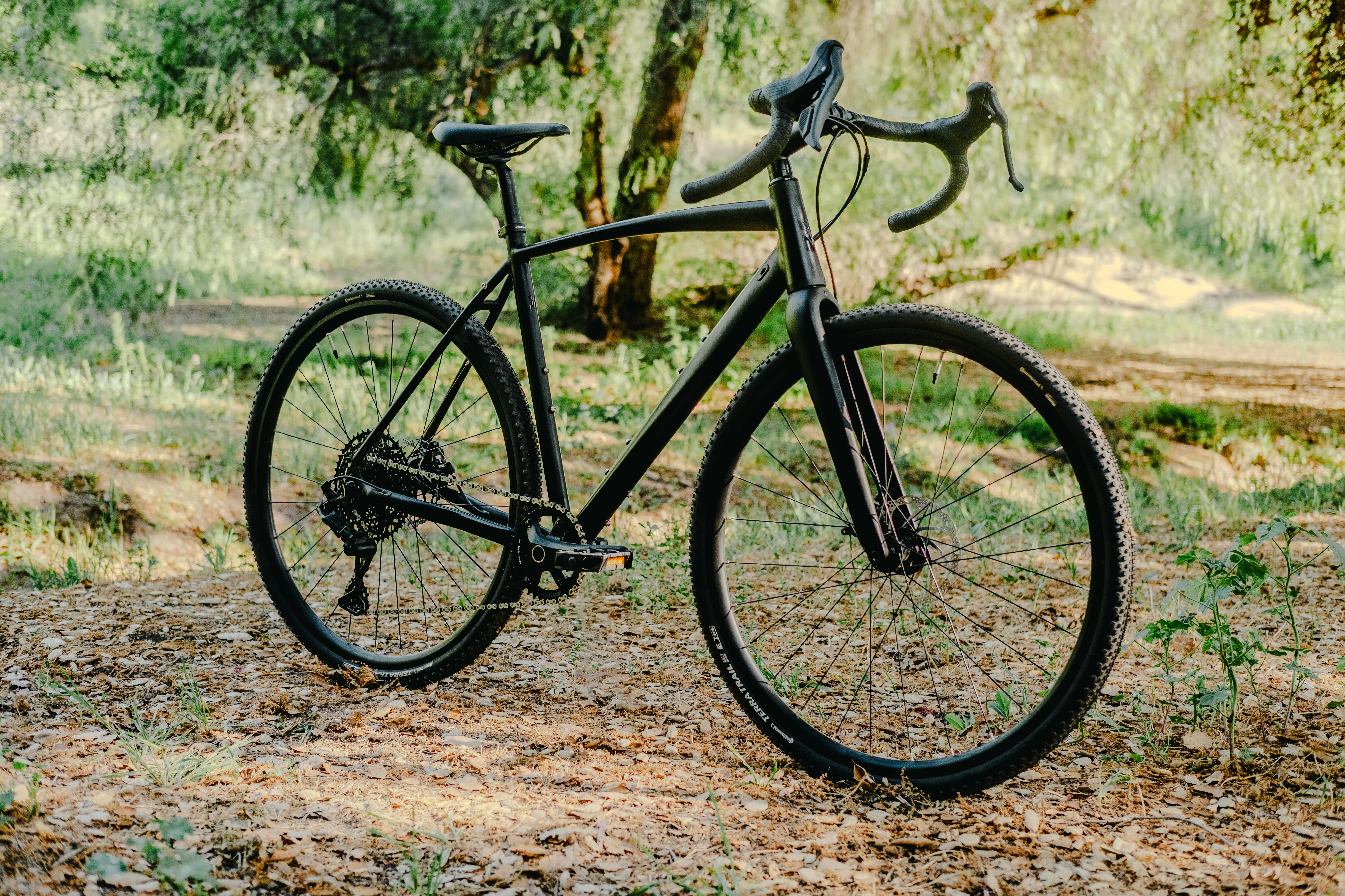 X Gen 3 - Image 23